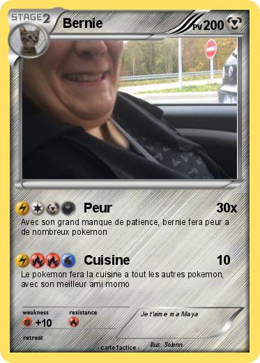 Pokemon Bernie