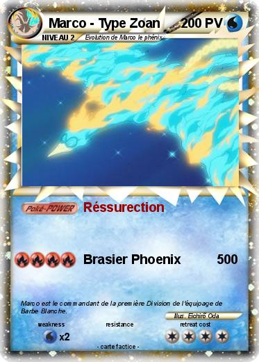Pokemon Marco - Type Zoan
