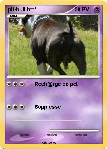 Pokemon pit-bull b***