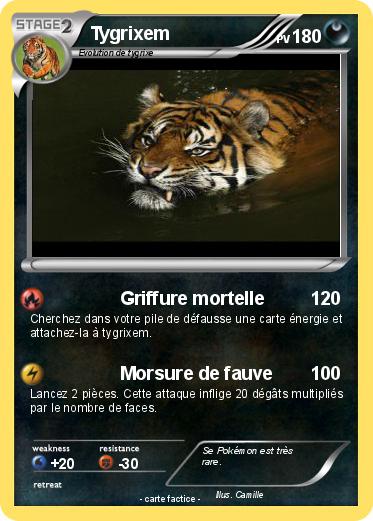 Pokemon Tygrixem