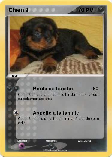 Pokemon Chien 2