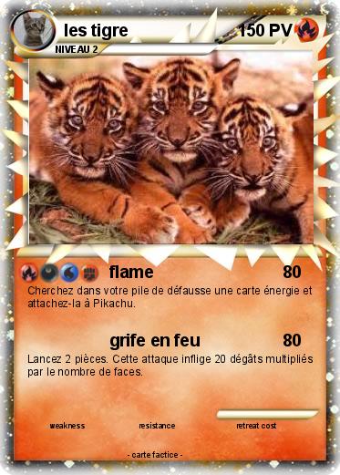 Pokemon les tigre