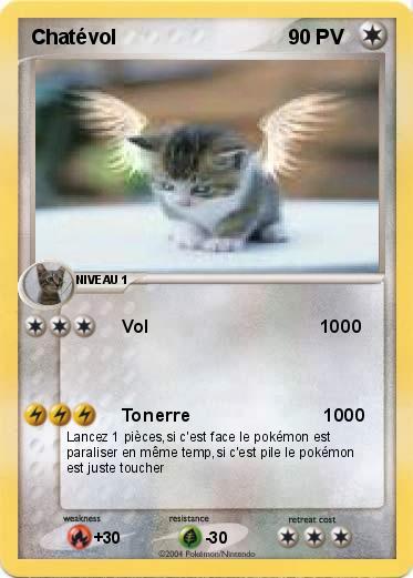 Pokemon Chatévol