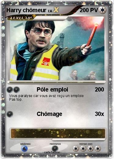 Pokemon Harry chômeur