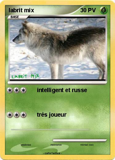 Pokemon labrit mix