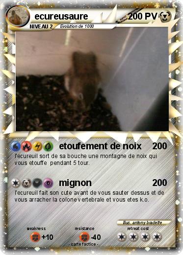 Pokemon ecureusaure