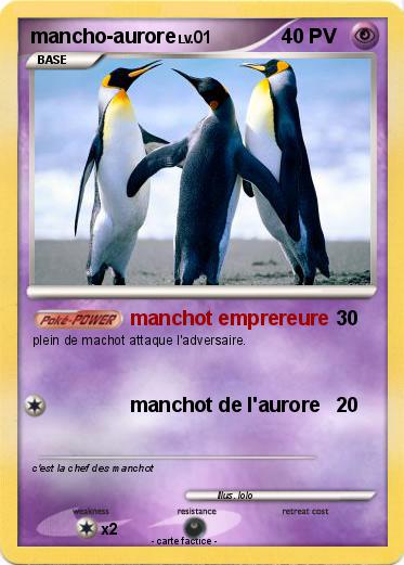 Pokemon mancho-aurore