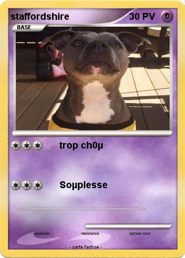 Pokemon staffordshire