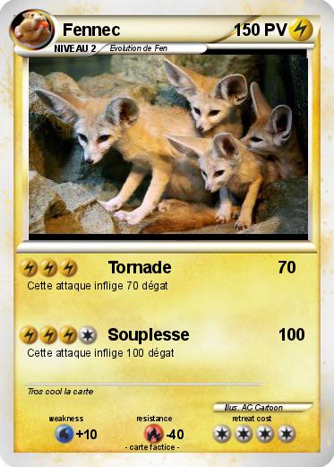 Pokemon Fennec