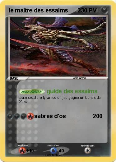 Pokemon le maitre des essaims      2