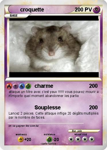 Pokemon croquette