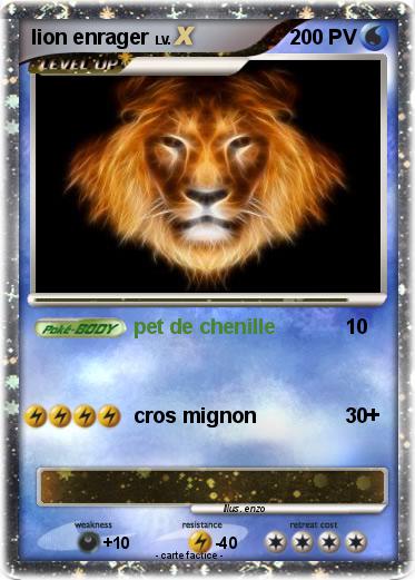 Pokemon lion enrager