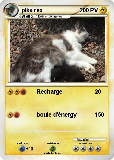 Pokemon pika rex