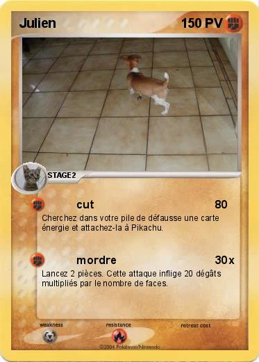 Pokemon Julien
