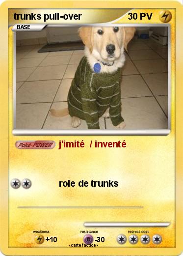 Pokemon trunks pull-over