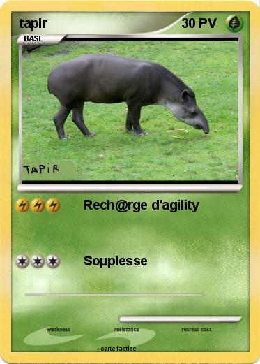 Pokemon tapir