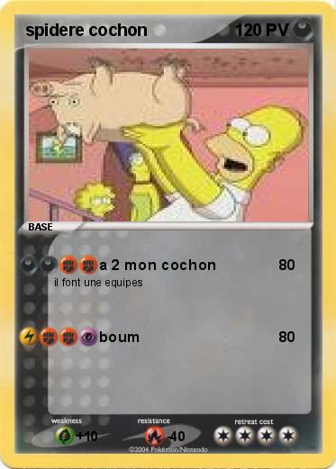 Pokemon spidere cochon