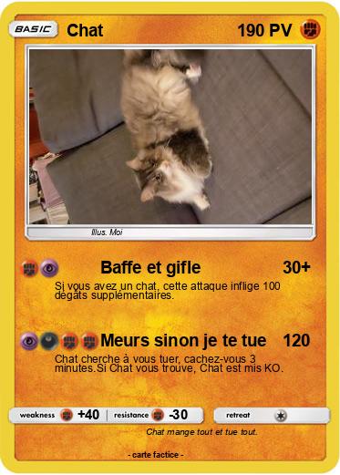 Pokemon Chat
