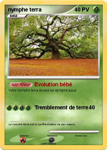 Pokemon nymphe terra
