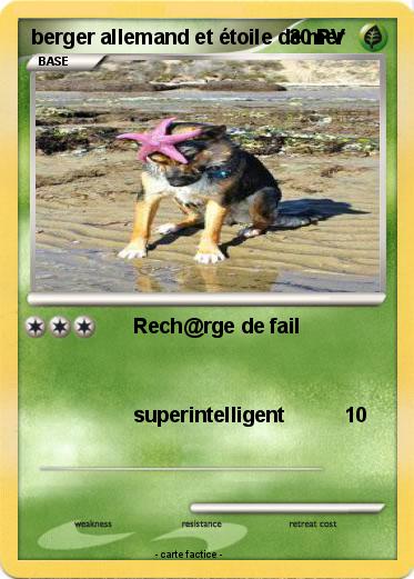 Pokemon berger allemand et étoile de mer