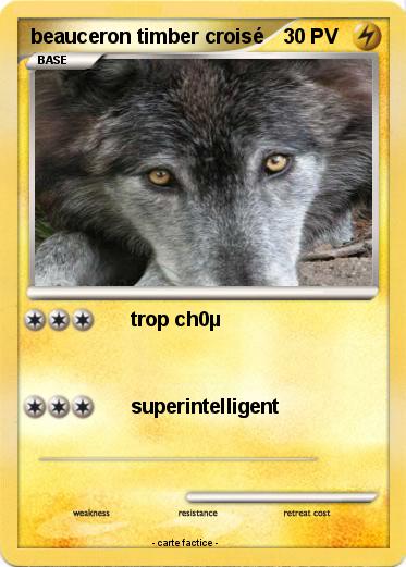 Pokemon beauceron timber croisé