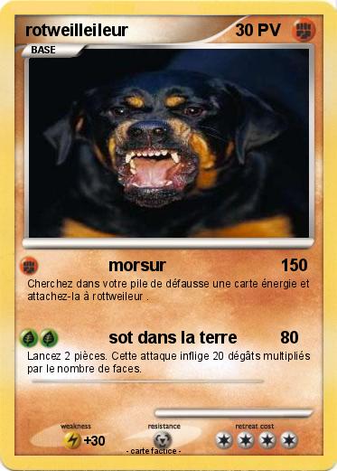 Pokemon rotweilleileur