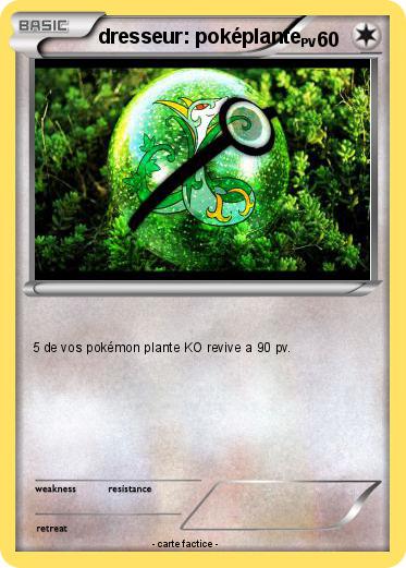 Pokemon dresseur: poképlante