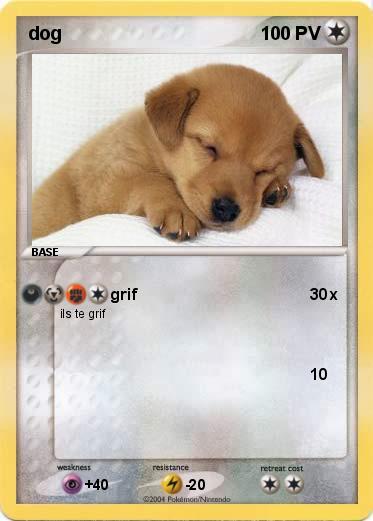 Pokemon dog