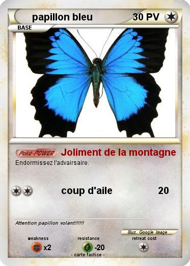Pokemon papillon bleu
