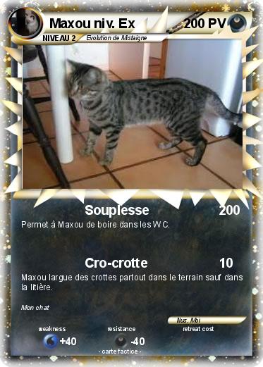 Pokemon Maxou niv. Ex
