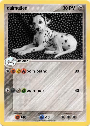 Pokemon dalmatien