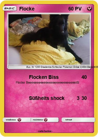 Pokemon Flocke