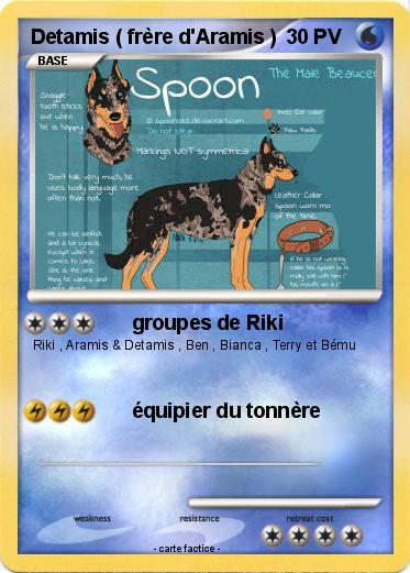 Pokemon Detamis ( frère d'Aramis )