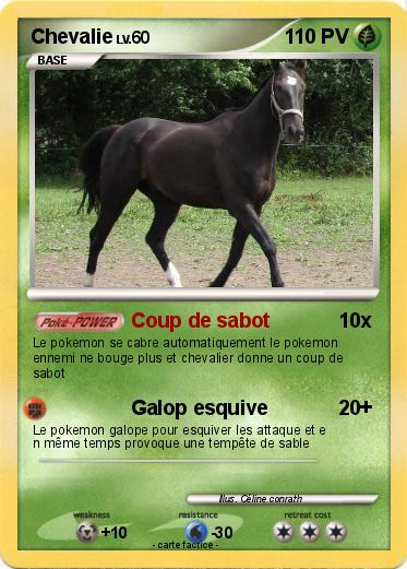 Pokemon Chevalie