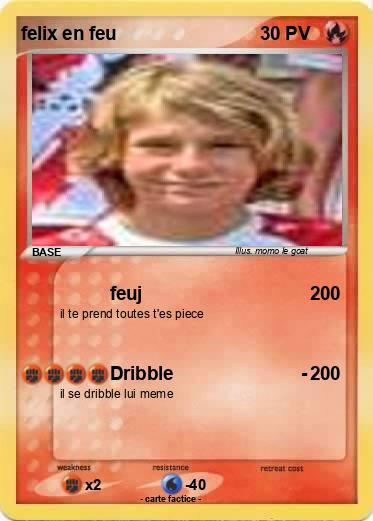 Pokemon felix en feu