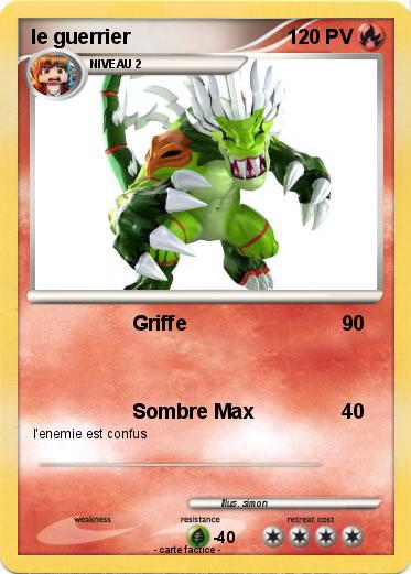 Pokemon le guerrier