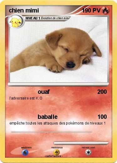 Pokemon chien mimi