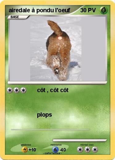Pokemon airedale à pondu l'oeuf