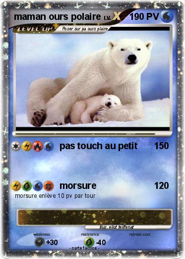 Pokemon maman ours polaire