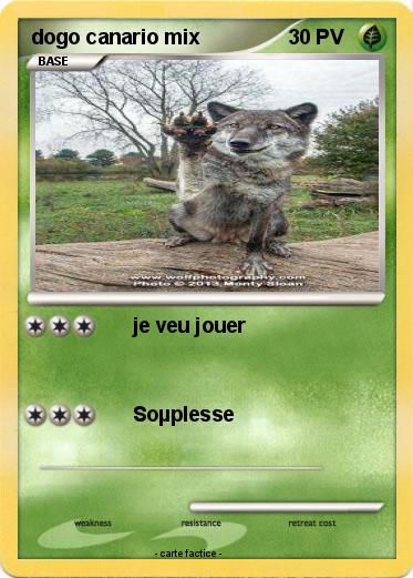 Pokemon dogo canario mix