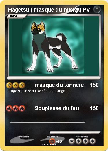 Pokemon Hagetsu ( masque du husky )