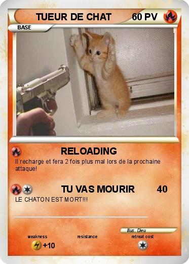 Pokemon TUEUR DE CHAT