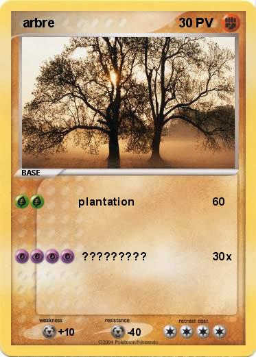 Pokemon  arbre                                                                            