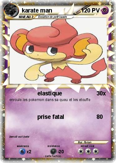 Pokemon karate man