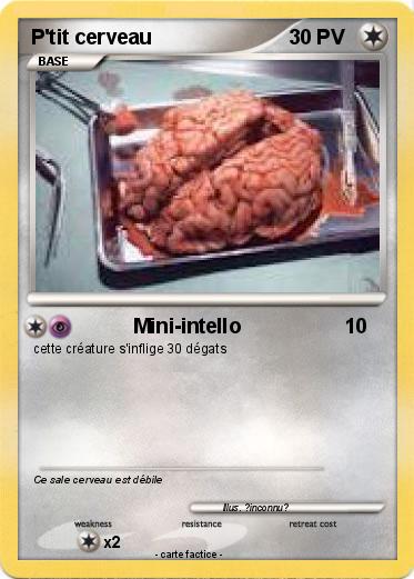 Pokemon P'tit cerveau