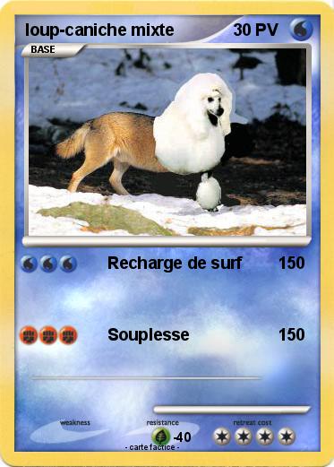 Pokemon loup-caniche mixte