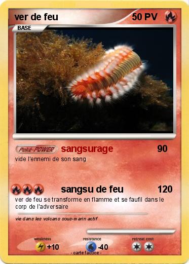 Pokemon ver de feu