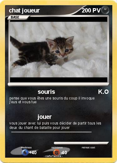 Pokemon chat joueur