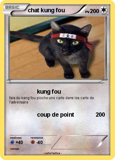 Pokemon chat kung fou