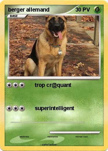 Pokemon berger allemand